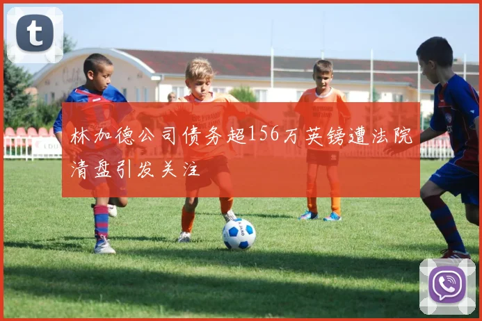 林加德公司债务超156万英镑遭法院清盘引发关注